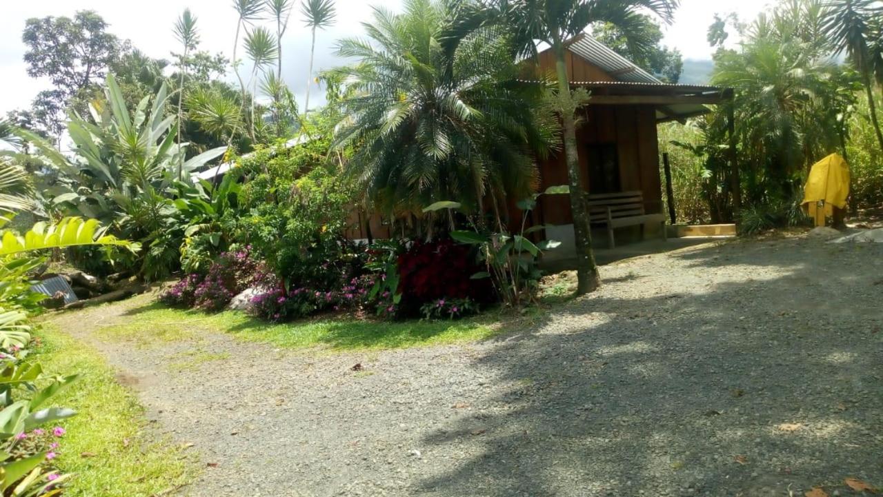 Bed and Breakfast Posada Rio Celeste In Exteriér fotografie